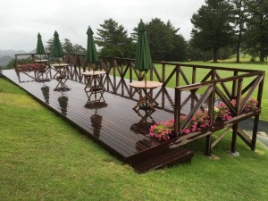 14580403_1336239589749921_1155431659_n