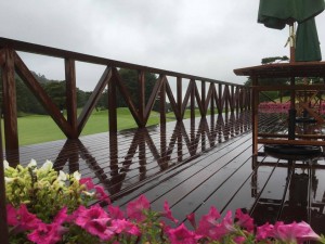 14593724_1336239609749919_937578449_n